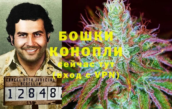 метадон Алексин