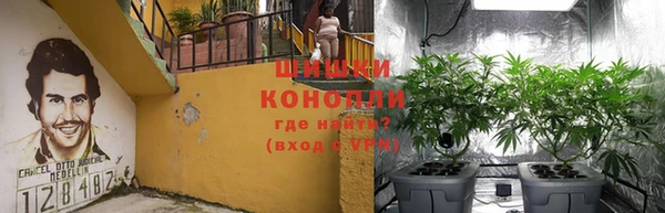 индика Алексеевка