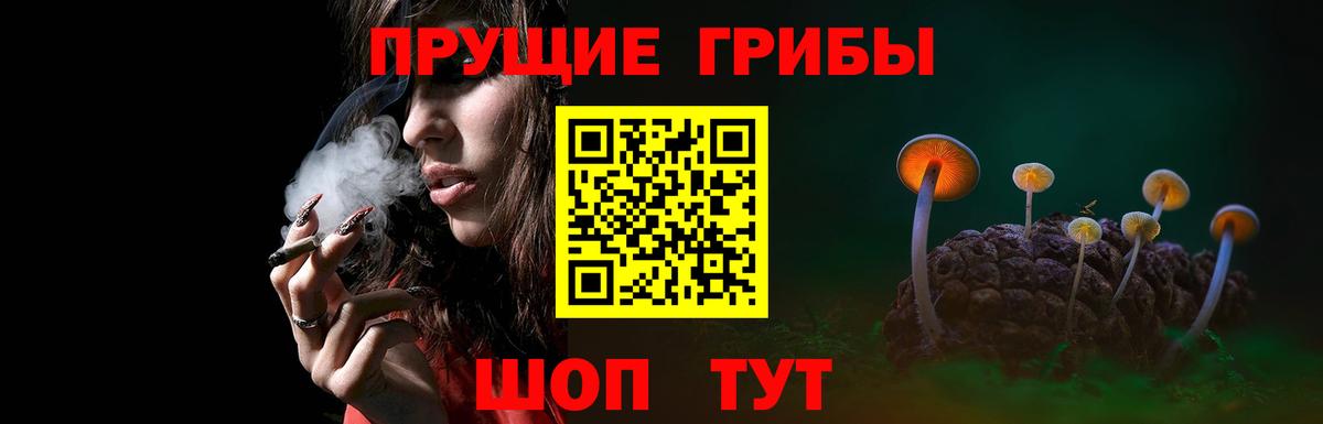 Киржач  Псилоцибиновые грибы MAGIC MUSHROOMS  Вход с VPN  Галлюциногенные грибы Psilocybine cubensis 