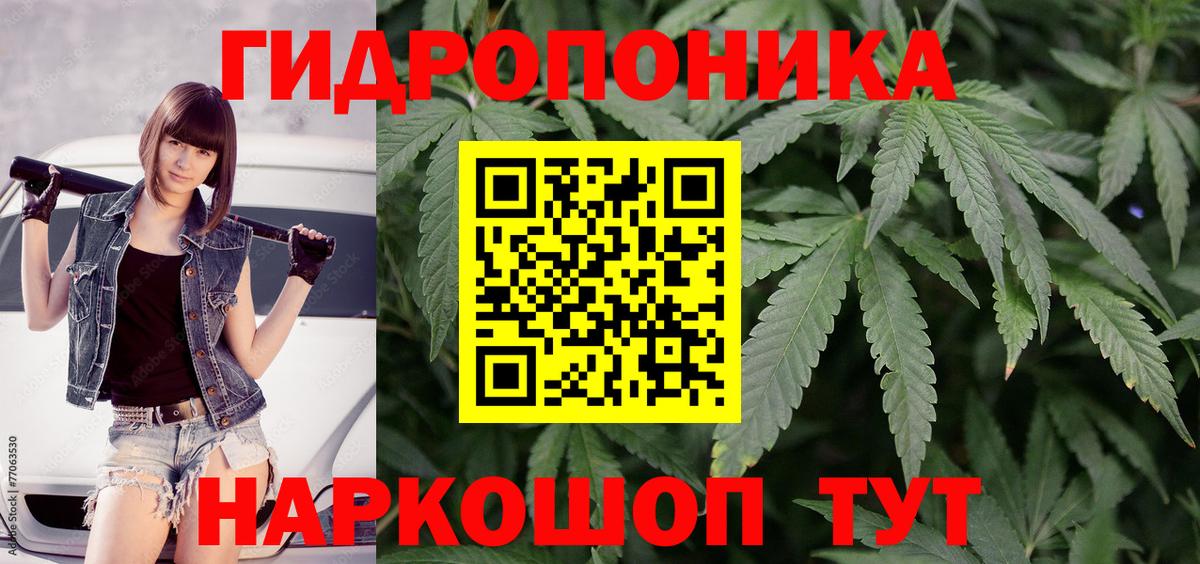 Бошки марихуана конопля Киржач